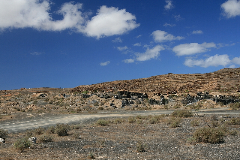 Kanary_2010 210